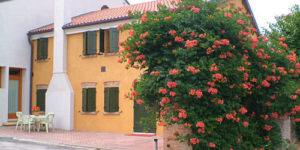 agriturismo le quattro rose in provincia di padova agriturismo pernottamento