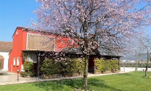 agriturismo le businelle agriturismo in provincia di padova